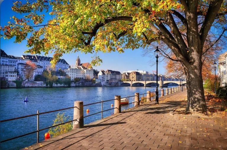 Schweiz Apartamento Basileia Exterior foto