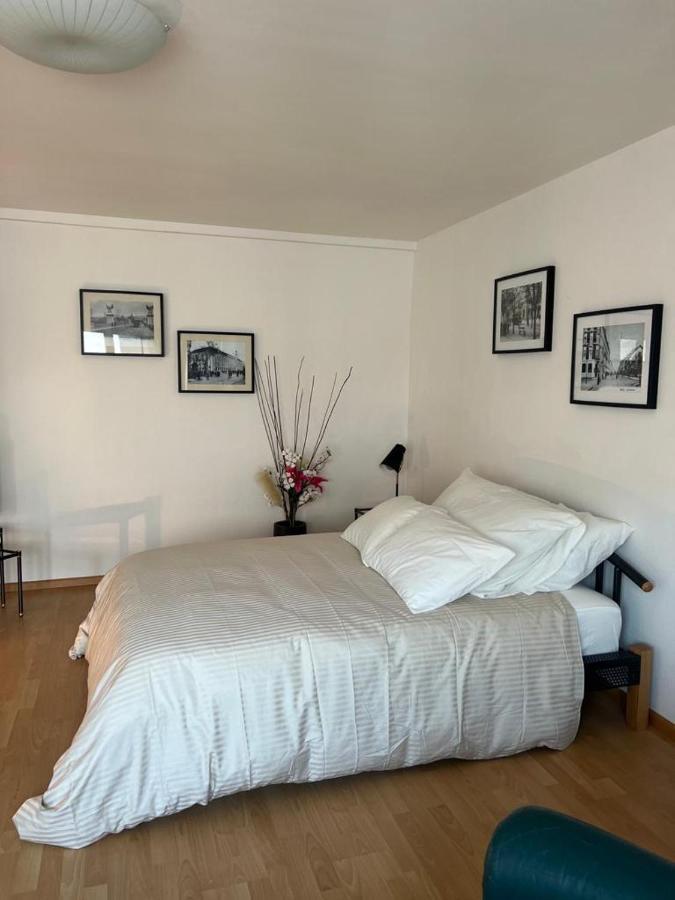 Schweiz Apartamento Basileia Exterior foto
